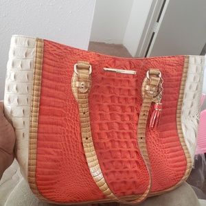 Brahmin bag
